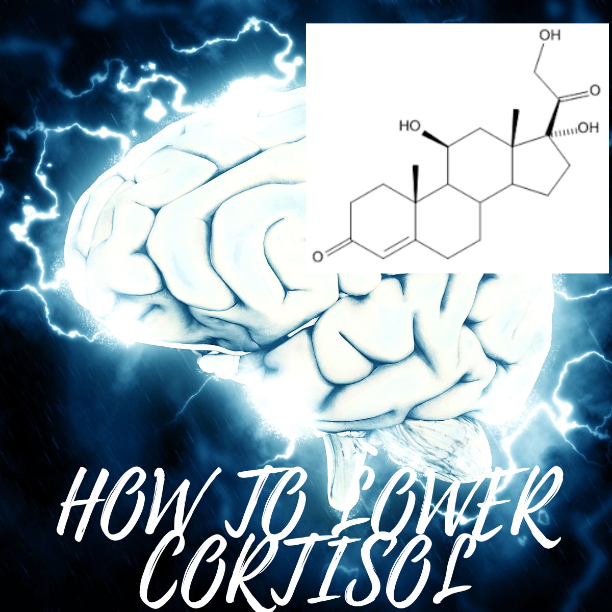 HOW TO LOWER CORTISOL