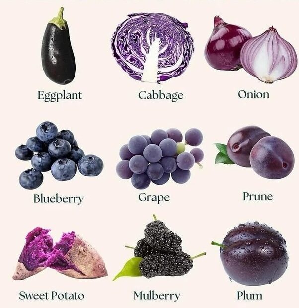 Purple Foods and Brain Health: Why "Purple Enters the Brain"